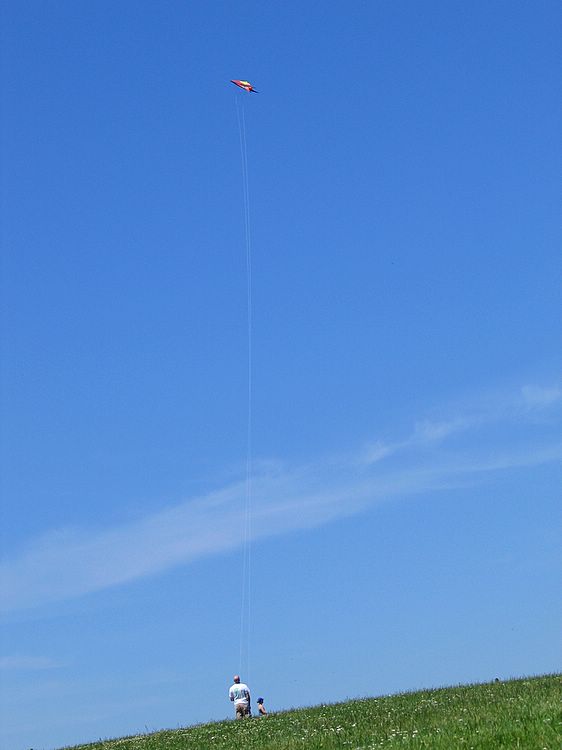 man and kite